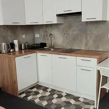 Asnyk Prestige דירה *